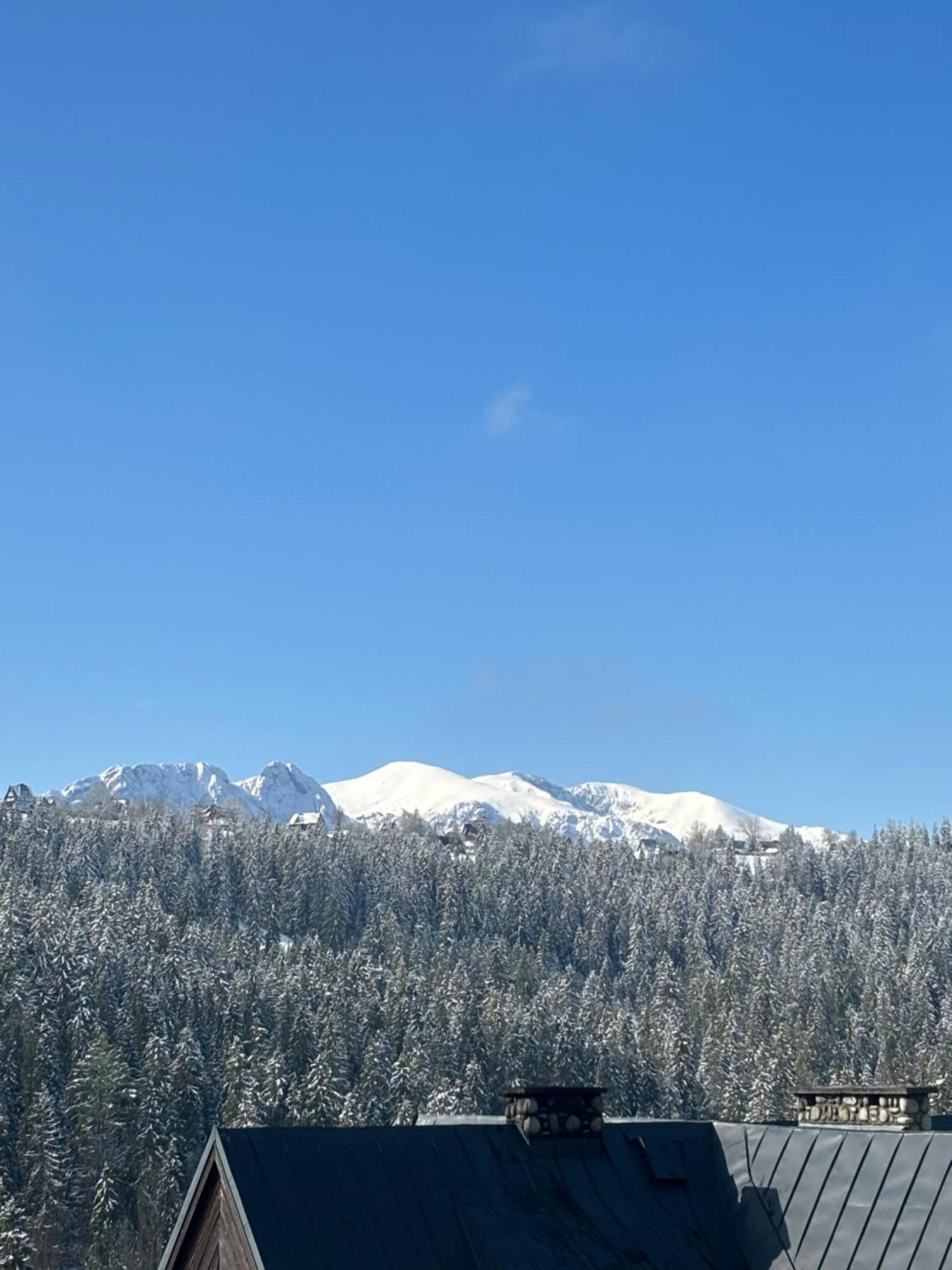 Apartamenty I Pokoje W Willi Na Ubocy Suche Esterno foto